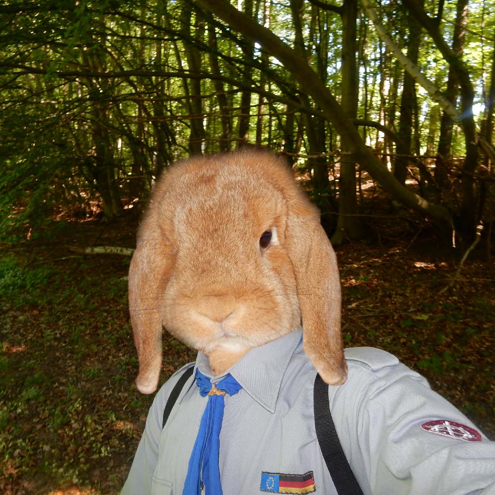 Bunny Scout